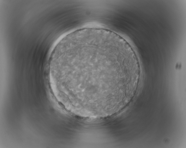 X0000113061008200910091138