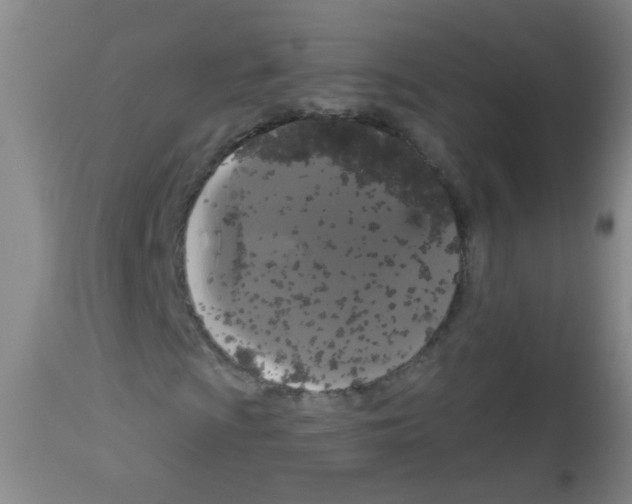 X0000113061009200910091137