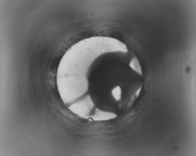 X0000113061010200910091137