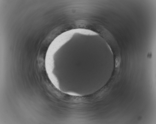 X0000113061011200910091137