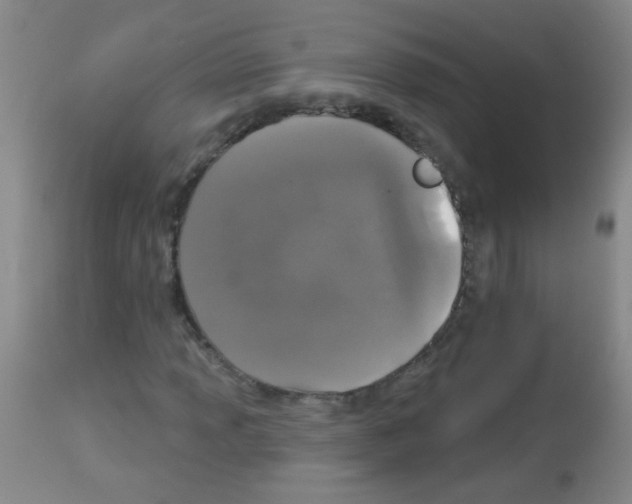 X0000113061013200910091138