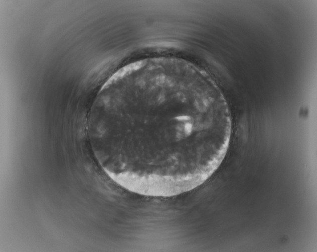 X0000113061014200910091138