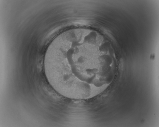X0000113061015200910091138