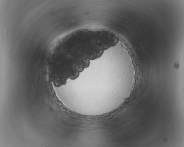 X0000113061016200910091138