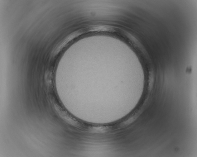 X0000113061017200910091138