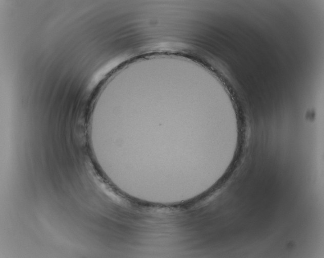 X0000113061018200910091138
