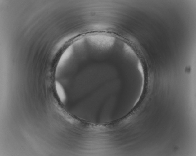 X0000113061019200910091138