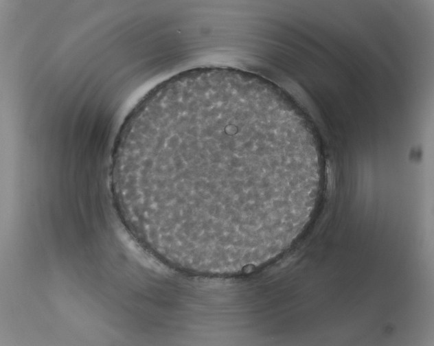 X0000113061020200910091138