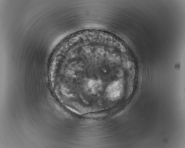X0000113061022200910091138