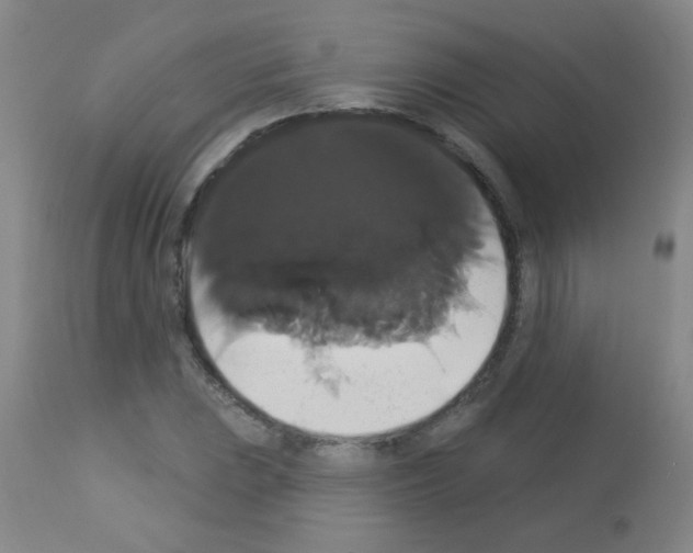 X0000113061023200910091138