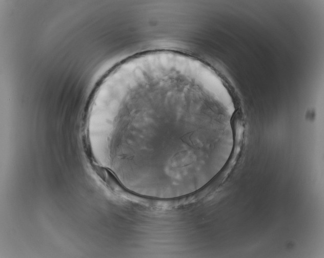 X0000113061024200910091138