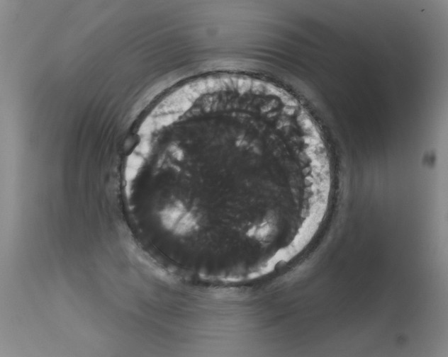 X0000113061025200910091138