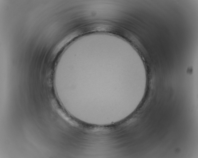 X0000113061026200910091138