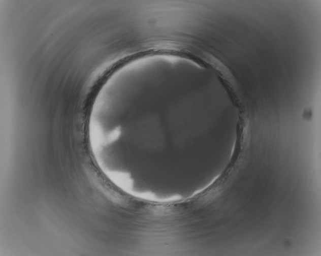 X0000113061027200910091138