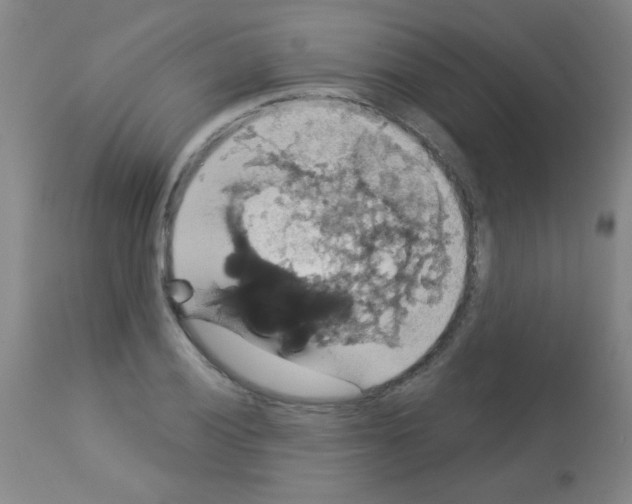 X0000113061028200910091138