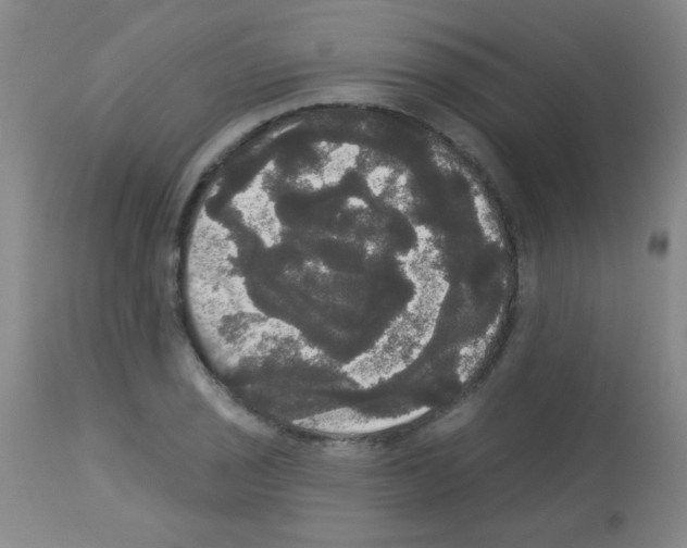 X0000113061029200910091138