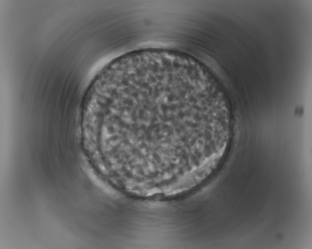 X0000113061030200910091138