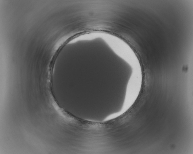 X0000113061031200910091138