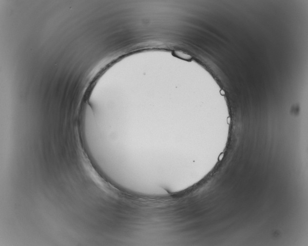 X0000113061034200910091138