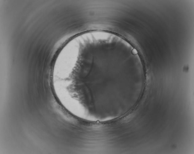 X0000113061035200910091138