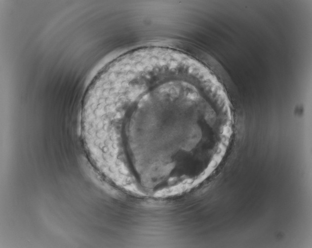 X0000113061036200910091138