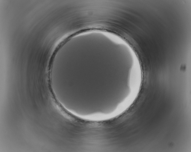 X0000113061037200910091138