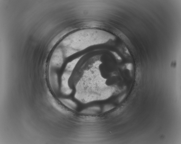 X0000113061039200910091138