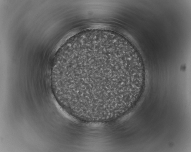 X0000113061041200910091138