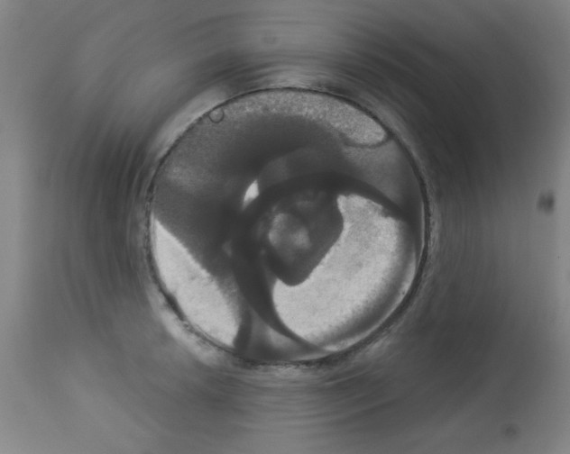 X0000113061042200910091138