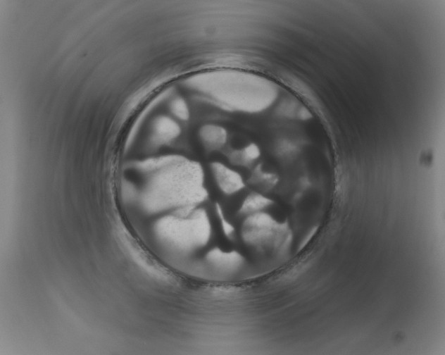 X0000113061043200910091138