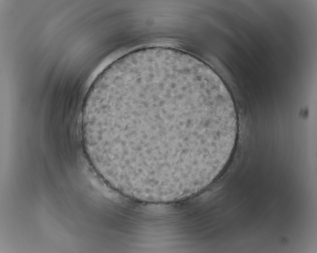 X0000113061044200910091138