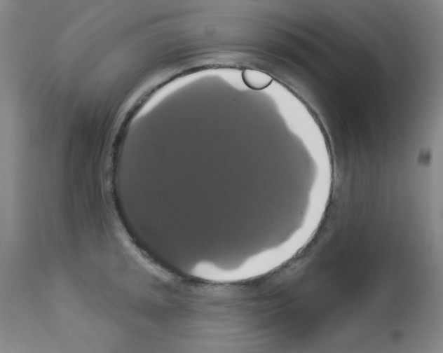 X0000113061045200910091138