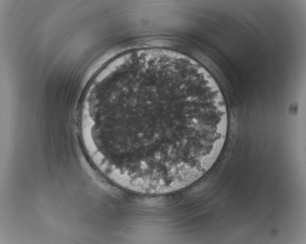 X0000113061047200910091138