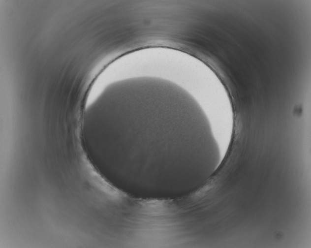X0000113061048200910091138