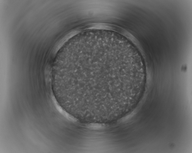 X0000113061049200910091138