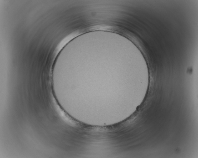 X0000113061050200910091138