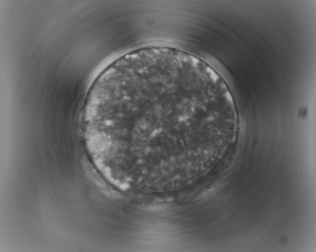 X0000113061052200910091138