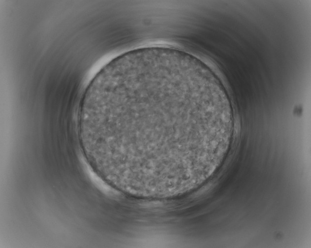 X0000113061054200910091138