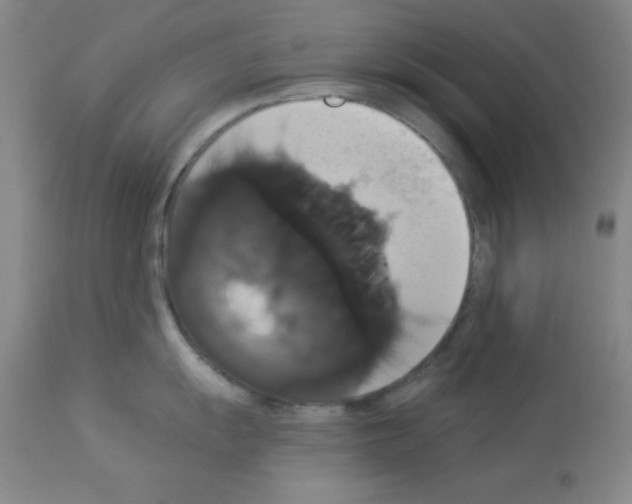 X0000113061055200910091138