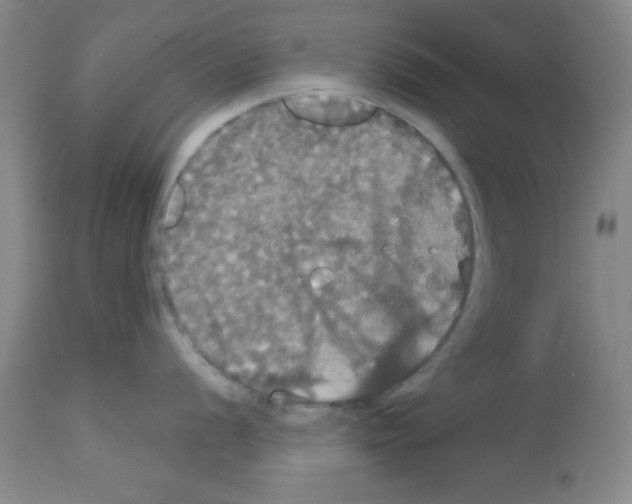X0000113061056200910091138