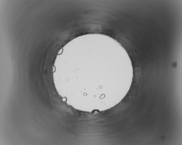 X0000113061057200910091137