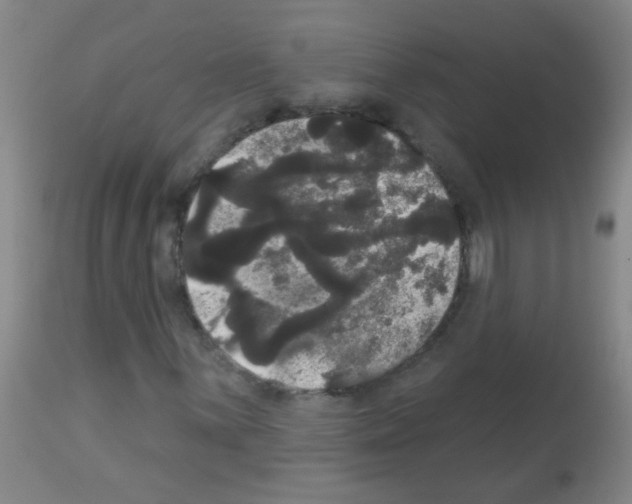 X0000113061059200910091137