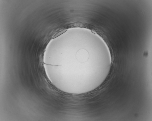 X0000113061060200910091137