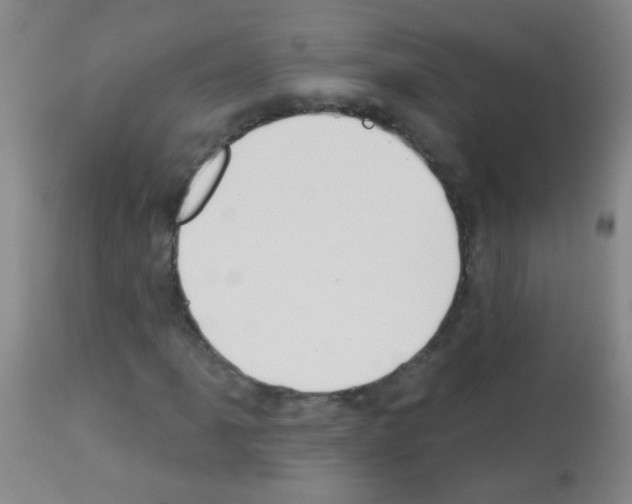 X0000113061061200910091137