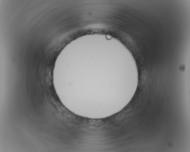 X0000113061062200910091137