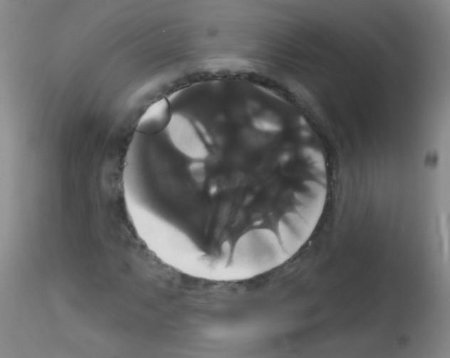 X0000113061063200910091137