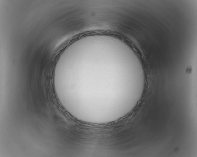 X0000113061064200910091137