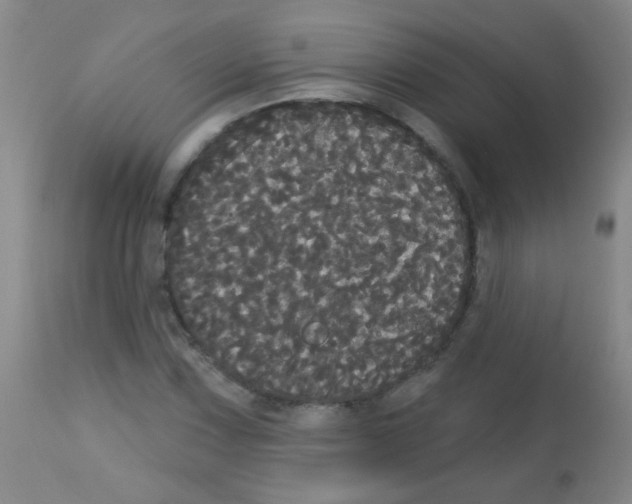X0000113061067200910091137
