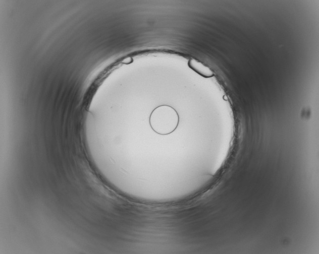 X0000113061069200910091137