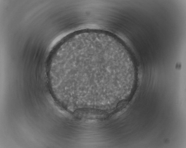 X0000113061070200910091137